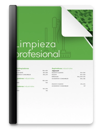 Limpieza profesional