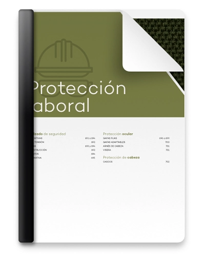Proteccion laboral